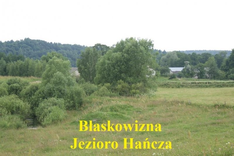 (71) Działki w miejscowości Błaskowizna — zdjęcie 2