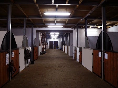 jazda konna- nauka i sport- JAZDY PRÓBNE BEZPŁATNE — zdjęcie 2