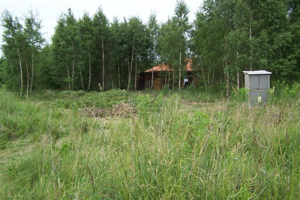 Porządkowanie działek - przygotowanie pod budowę, — zdjęcie 2