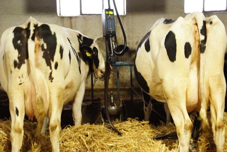 DOJARKI PRZEWODOWE DELAVAL/ALFA-LAVAL MILKMASTER — zdjęcie 2