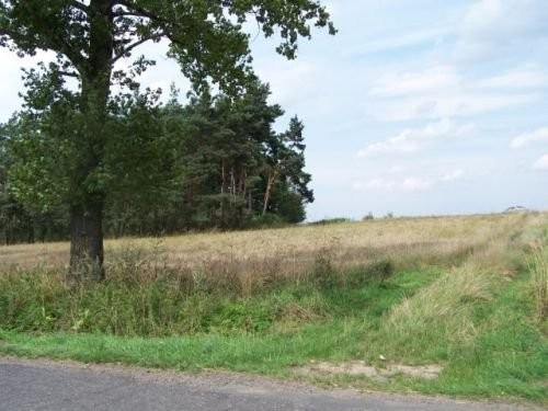 Budynek ,uzbrojone siedlisko,grunt rolny Legnica — zdjęcie 2