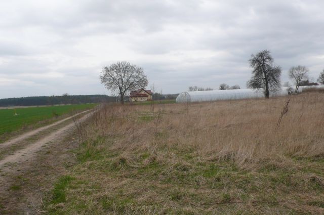 DZIAŁKA BUDOWLANA ,5300 m2 -Sobota , gmina Rokietnica  — zdjęcie 6