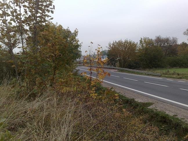 Działka- Kleszewo — zdjęcie 3