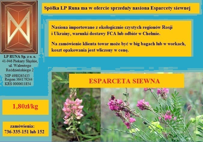 Esparceta siewna