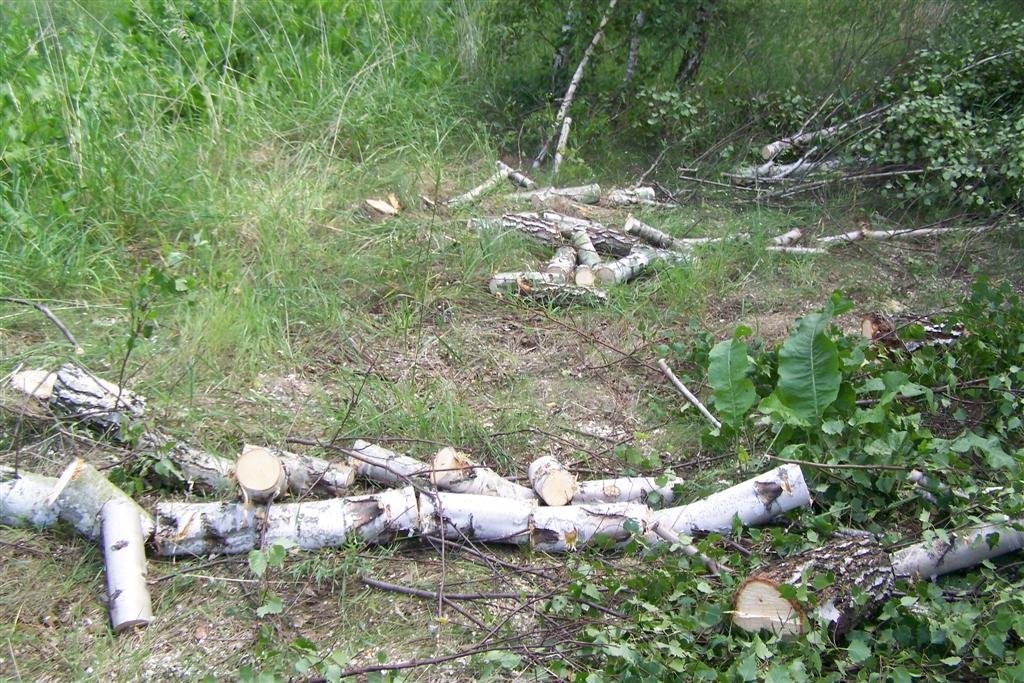Porządkowanie działek - przygotowanie pod budowę, — zdjęcie 1