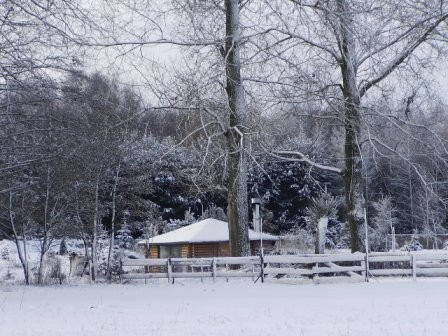 Gospodarstwo rolne, stajnie — zdjęcie 5