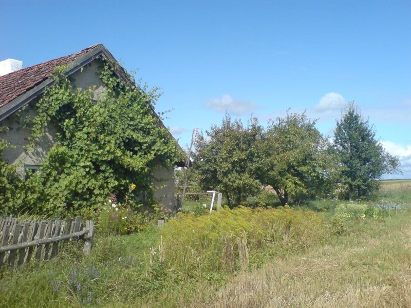 sprzedam gospodastwo rolne — zdjęcie 1