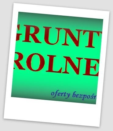 Grunty rolne 100-250 ha w lubuskim KUPIMY