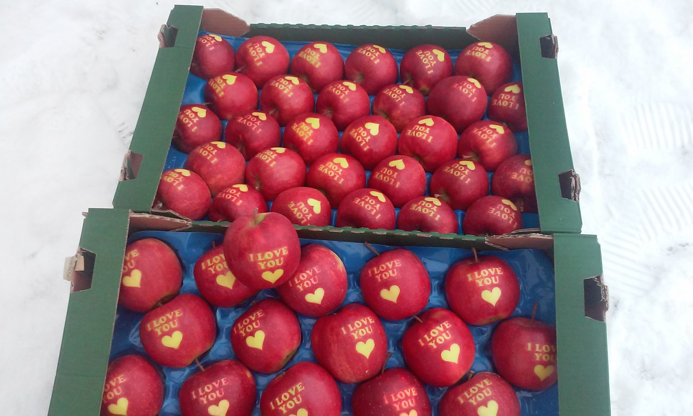 Sprzedam jabłka z napisem I LOVE YOU i KOCHAM CIĘ z serduszkiem — zdjęcie 1