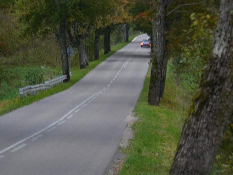 Gospodarstwo rolne (siedlisko) 10h ziemi rolnej — zdjęcie 4