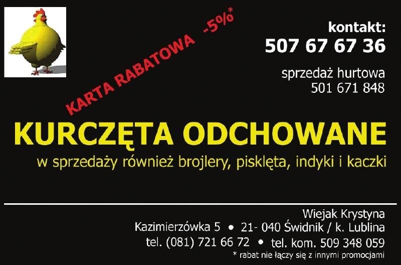 KURCZĘTA ODCHOWANE, KURKI, KURY, ODCHÓW, KACZKI, K — zdjęcie 1