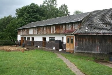 Wydzierżawię działkę 8ha w Podlesiu Machowskim — zdjęcie 2