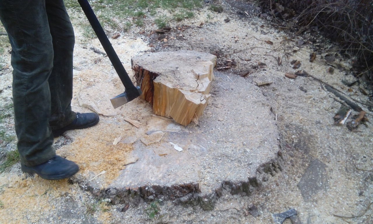 Wycinka drzew, wyburzanie budynków, przygotowanie terenu pod budowę Fv — zdjęcie 5