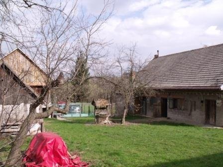 Sprzedam gosp rolne 1.7 ha!! — zdjęcie 4
