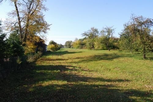 Działka z widokiem na jezioro Dreństwo k.Augustowa — zdjęcie 6