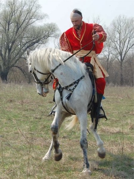 UkrainaStajnia koni w malowniczej miescowosciTanio — zdjęcie 6
