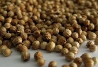 Cereals from Ukraine — zdjęcie 4