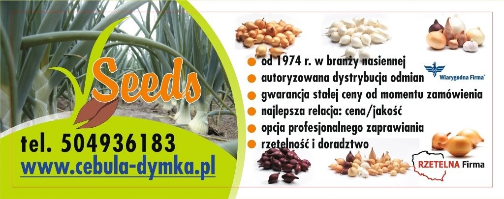 CEBULA DYMKA - NAJLEPSZA OFERTA. Rzetelna Firma — zdjęcie 1