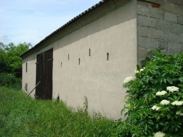 Dom + budynki gospodarcze + działka 57 arów OKAZJA — zdjęcie 3