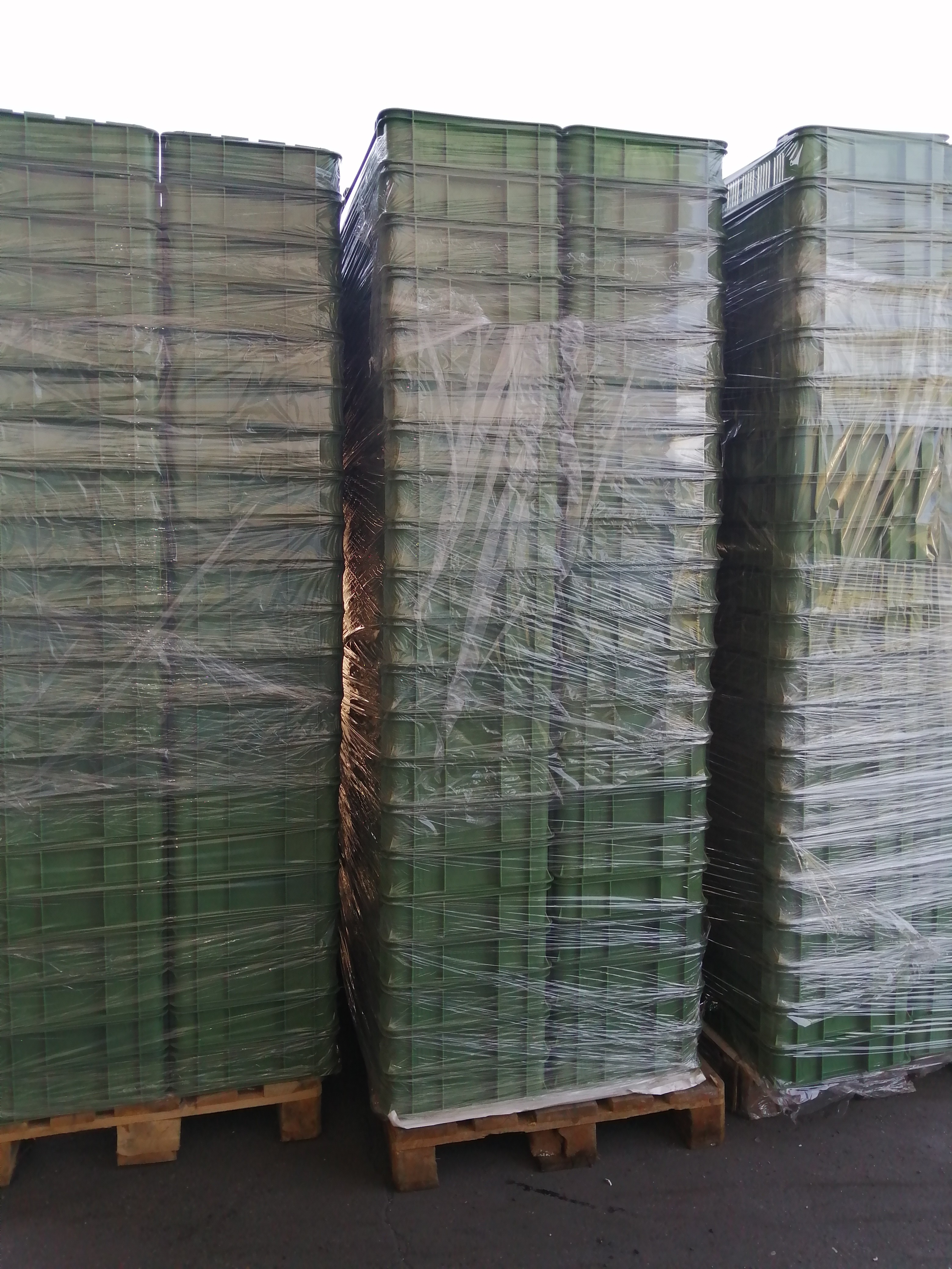 skrzynki plastikowe na owoce warzywa jak nowe — zdjęcie 1