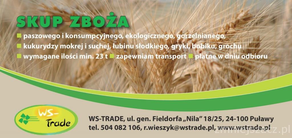 Kupię kukurydzę- skup kukurydzy