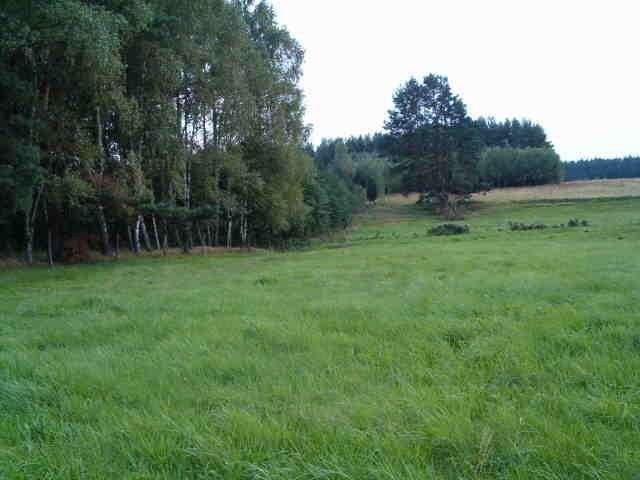 2 działki- rolną i pod budowę — zdjęcie 1