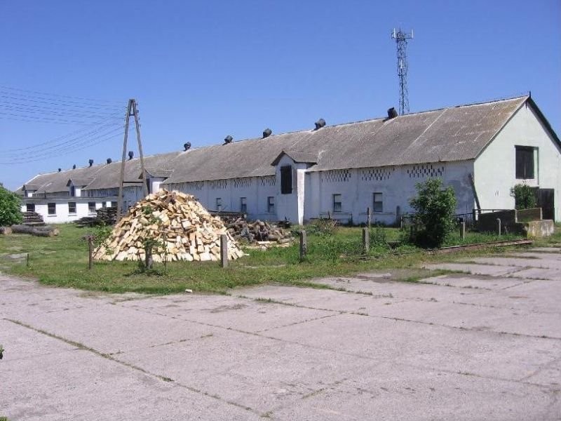 Ferma trzody chlewnej- sprzedam lub wynajme — zdjęcie 1