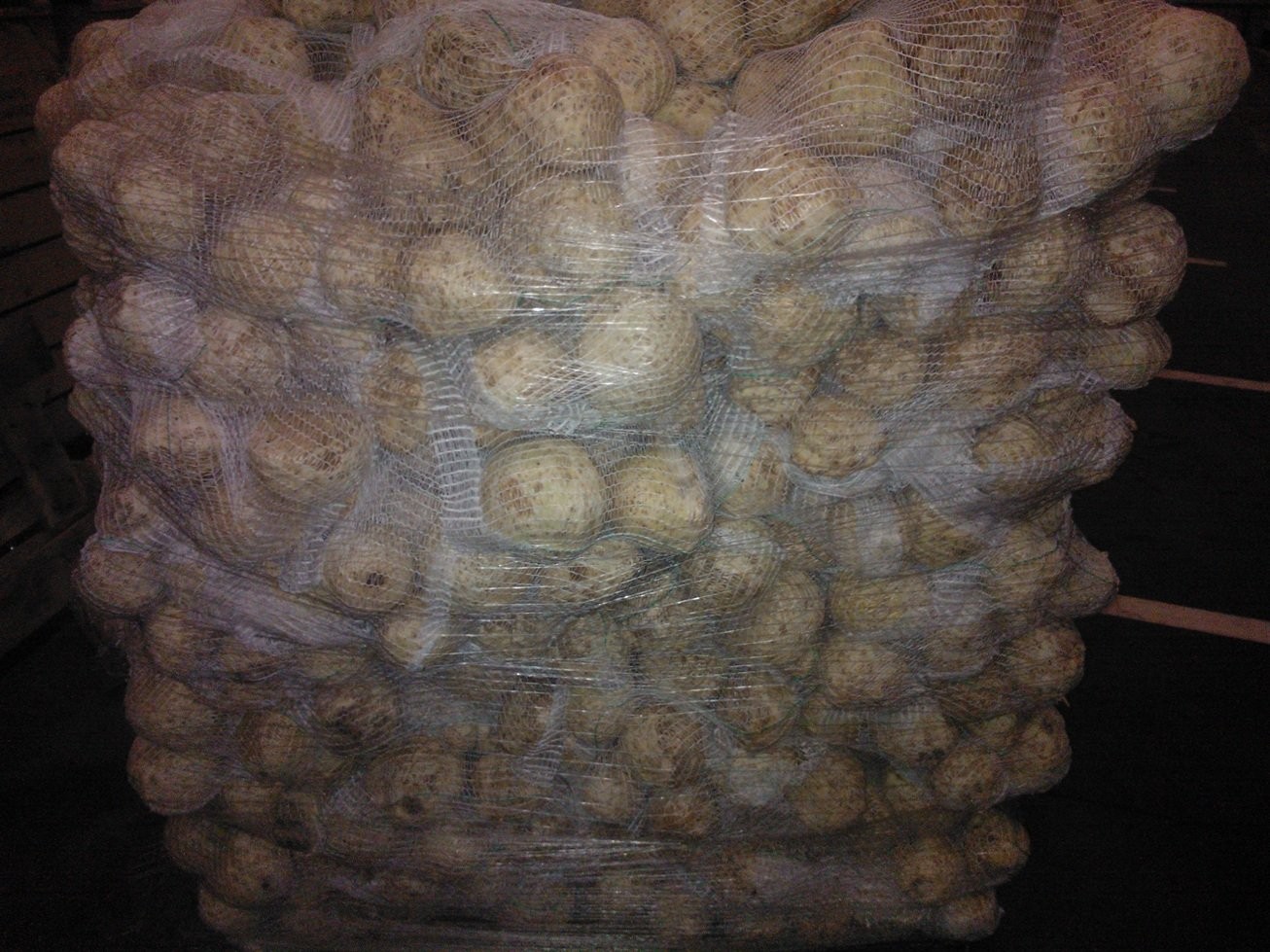 Seler worek 5 kg