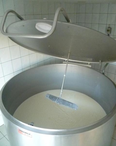 Schładzarka / chłodnia do mleka FRIGOMILK — zdjęcie 2