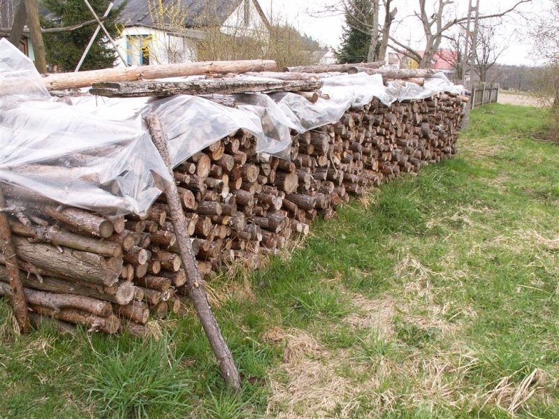 Drzewo sosnowe na opał, suche, roczne - 7.5 m3 — zdjęcie 3