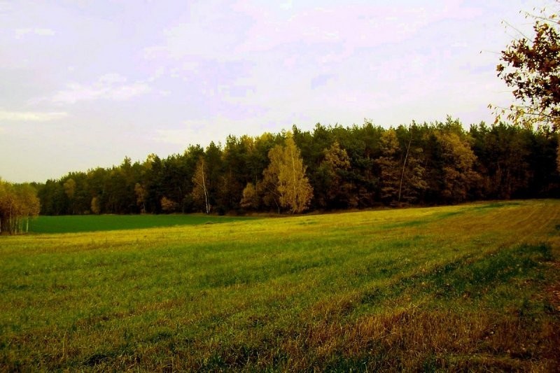 działka z możliwością zabudowy — zdjęcie 1