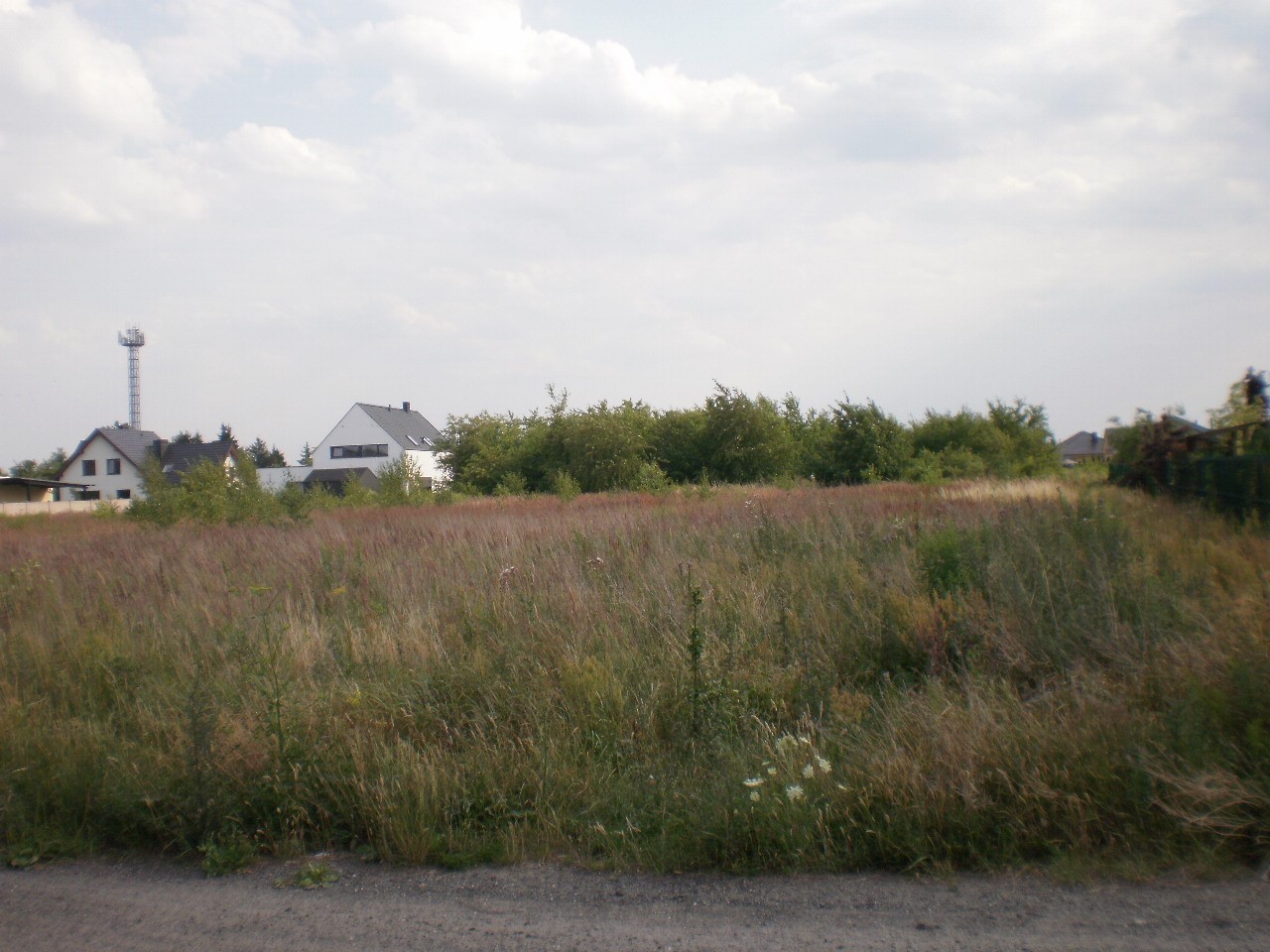 Poznań-POKRZYWNO 2247 m2 sprzedam — zdjęcie 4