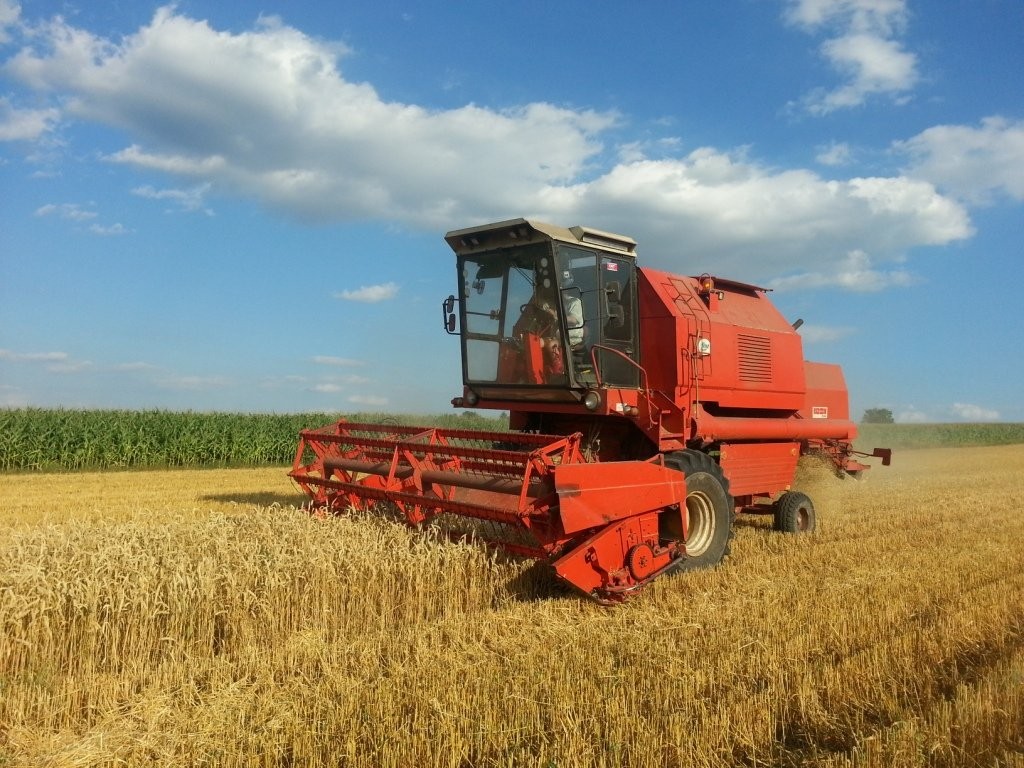 Bizon Rekord - 1990