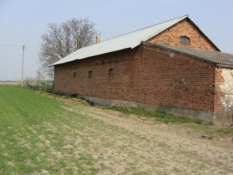 Gospodarstwo rolne - Krokocice — zdjęcie 2