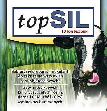 zakiszacz topsil