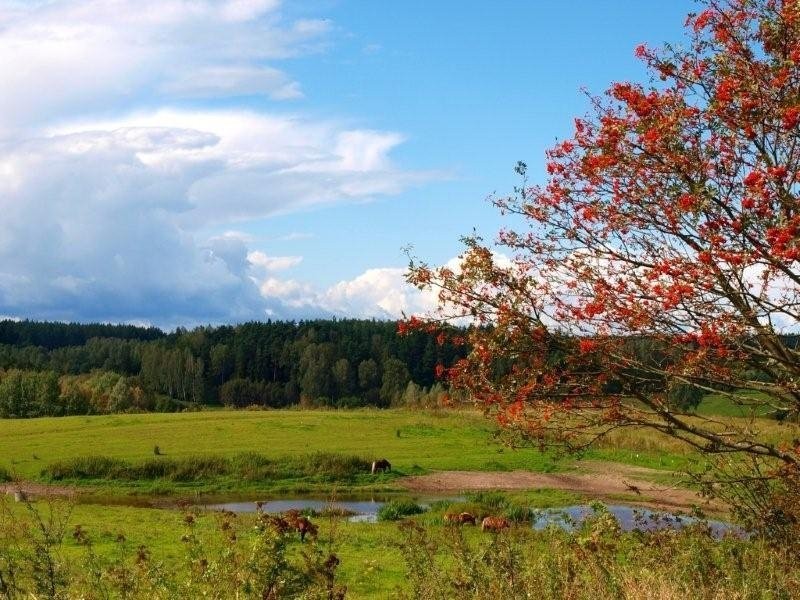 Grunty Inwestycyjne w nieoprocentowanych ratach ! — zdjęcie 1