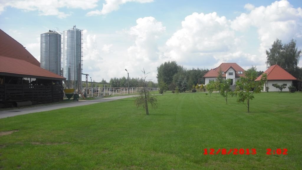 Gospodarstwo - Stadnina Koni — zdjęcie 2