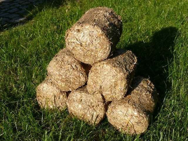 Sprzedam zakład produkcyjny, brykietu, zbyt