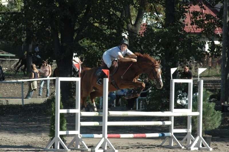 BRE GUN STANÓWKA — zdjęcie 2
