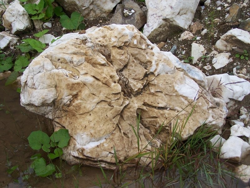 Skalniak z kamienia naturalnego Eldas Bis Szczecin — zdjęcie 5