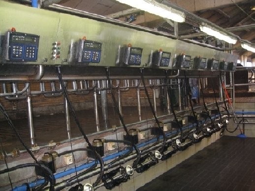 HALA UDOJOWA KOMPLETNA PILNIE SPRZEDAM — zdjęcie 6