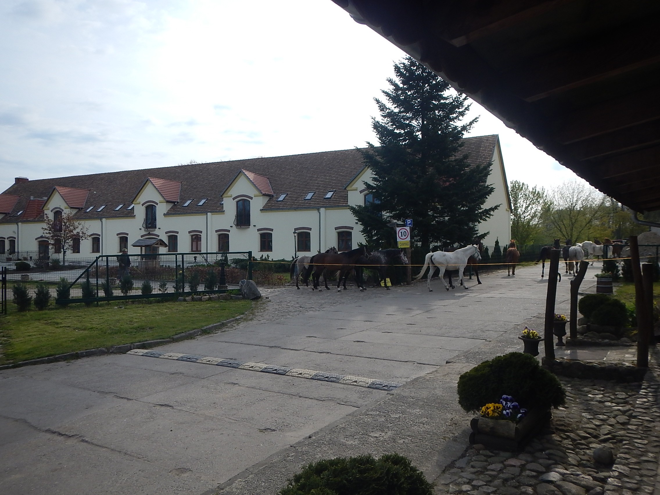 Praca w Gospodarstwie Agroturystycznym — zdjęcie 1