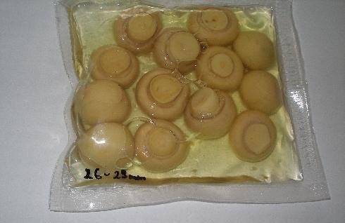 Pieczarka blanszowana w beczkach