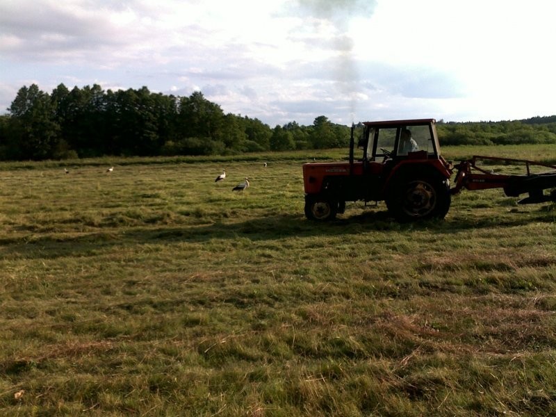 110ha zachodniopomorskie - dzierżawa — zdjęcie 2