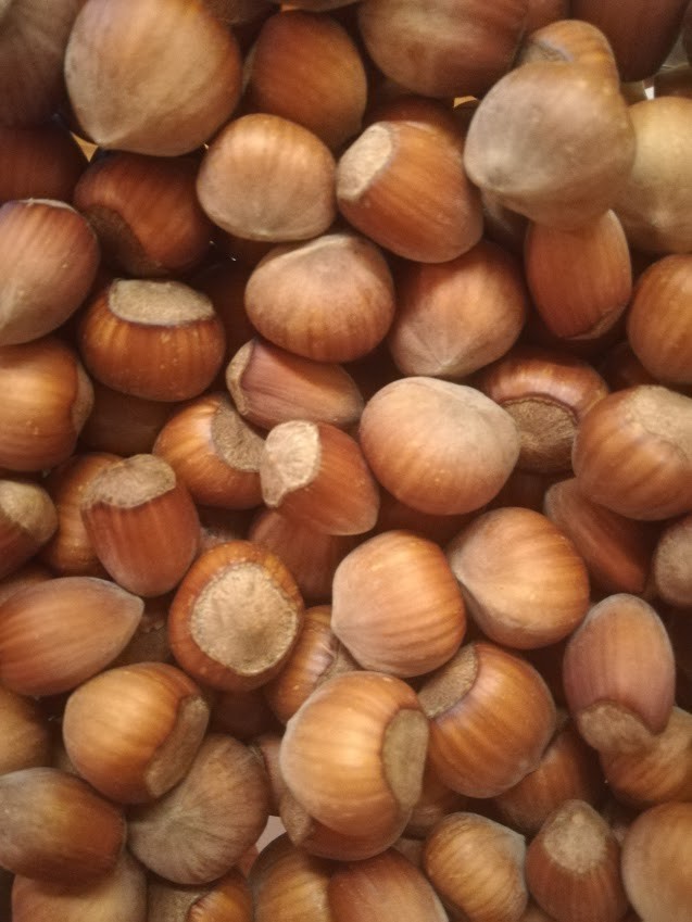 orzechy laskowe MIX