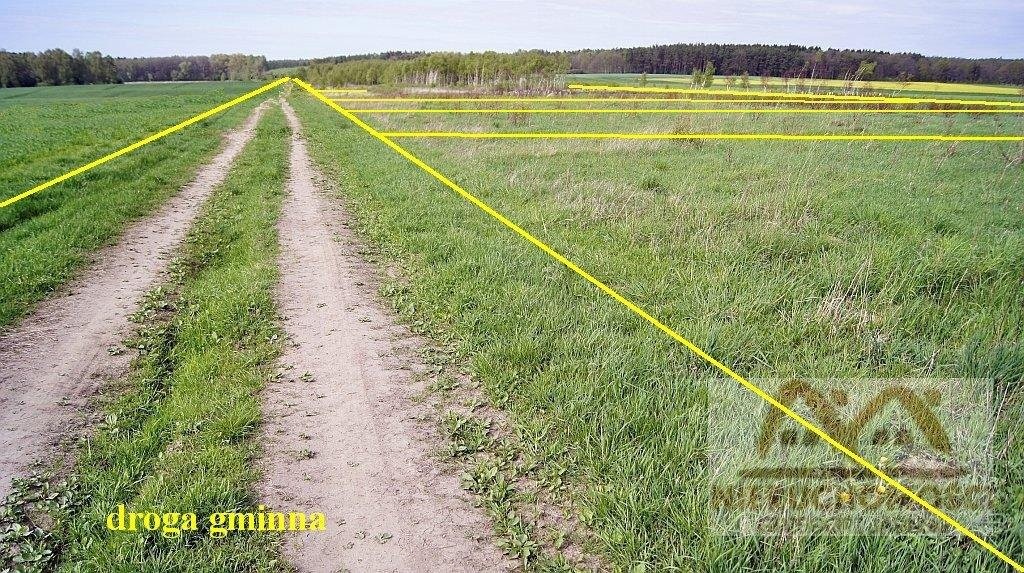 KOŁOBRZEG - 17 km (działki 3.000 m2 z lasem) — zdjęcie 4