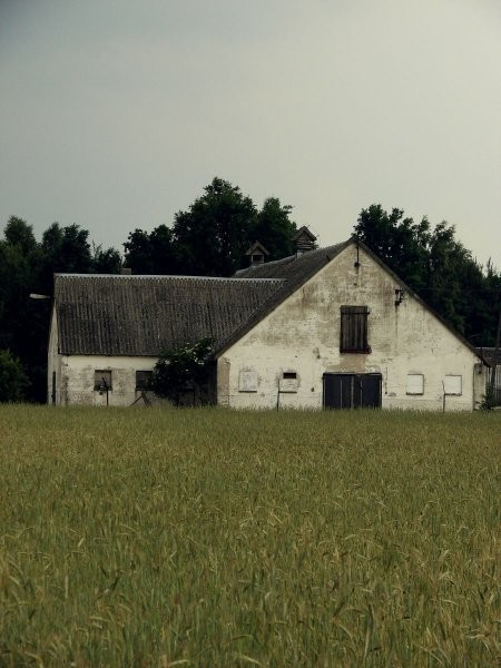 ferma drobiu  tanio — zdjęcie 2