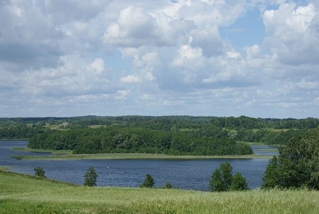 (513) Działka z linią brzegową jeziora Gaładuś — zdjęcie 5