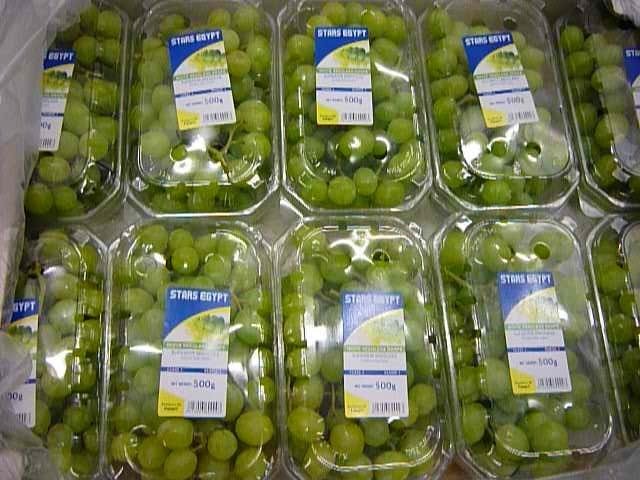 Sprzedam winogrona z Egiptu