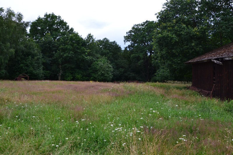 18 ha , gospodarstwo eko Lubuskie sprzedam